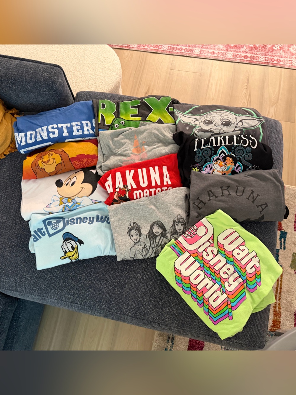 12-shirt bundle — Disney plus size